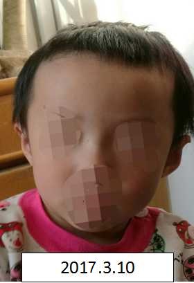 操黑逼网站免费